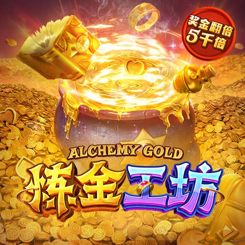 娱乐星空安卓版