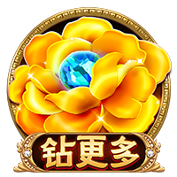 娱乐星空安卓版